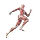 몸에봄을피우다 신가점 이미지