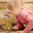 더이지잉글리쉬 이미지