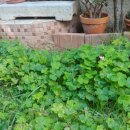 무지개게임랜드 이미지