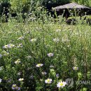 산골마을 영농조합법인 이미지