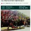 이번 수능 가채점 하는데 미쳤다 서울대 의대 넣는다 이미지