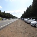 사려니숲길주차장 이미지