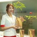 금산사우나 이미지