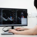 ACE동물병원 | 비대성 심근병증 심잡음이 들릴 때 의심해봐야 합니다.