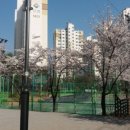 대주아파트 상가동 이미지