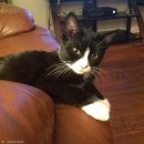 은혜어린이집 이미지