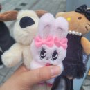 뽑기 집나간인형 이미지