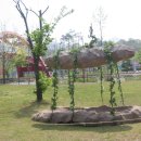5월1~5일 안산 호수공원 다문화 18개국 거리 축제2. 이미지