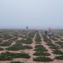 미력 농장 이미지