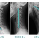 짐포유 이미지