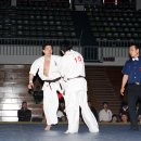 극진공수도 이미지