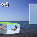 이동-3 이미지