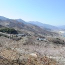 매화마을1 이미지