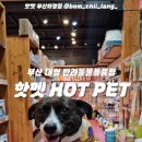 핫펫