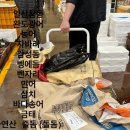 다올수산 이미지