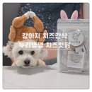 누리댕댕 | 건강하게즐기는 강아지치즈간식 누리댕댕치즈잇닭