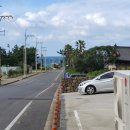 심쿵하개 애견미용 이미지