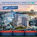 테크트리 이미지