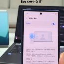 에코 시스템 이미지