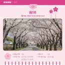 와동구판장 화장실 이미지