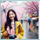 원주시립합창단 제115회 정기연주회 | 원주시 주요 행사계획(2025. 12. 5. 현재)