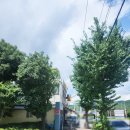 서면 산단1길 이미지