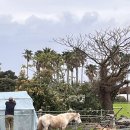 법환마을회관 이미지