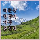 파랑새민박 | 충남 금산 대둔산 청강수 계곡 반려견 동반 물놀이 가이드와 추천 숙박 정보