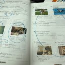 빅토리아영어학원 - 영광군 상하길 108 | 초등 고학년부터 탄탄하게 잡아주는 일산 영어학원 후기!