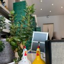 신흥정미소 | <강원/강릉> 강릉여행 옥수수 토핑이 잔뜩 올라간 닭강정 핫플 맛집 '강릉닭강정'