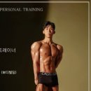 테피티 이미지