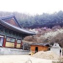 대한불교마트 이미지