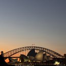 비타민하우스(주) | Day2 시드니 타롱가주 더미트앤와인코 영양제쇼핑 야경 휴버트 예약