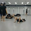 삼송주짓수 네이버블로그