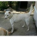 동경농장 이미지