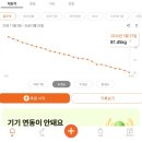 하나로누가약국 | 마운자로 가격 -30kg 감량 중 400만원 태운 후기 (용량별 비용, 처방 방법)