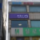 네일, 피오나