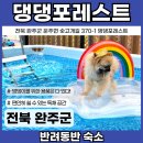 포레스트펜션 이미지