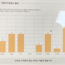비둘기는멍청해보여 이미지