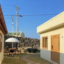 하귤스테이 이미지