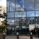 퍼피포레스트 이미지