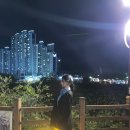 들성생태공원 | [경북/구미] 황화코스모스가 있는 야경명소 들성생태공원