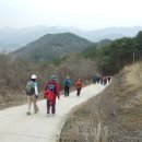 홍인금수산