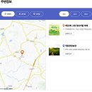 고창군교통약자이동지원센터 | 고창 청보리밭 축제 기간 입장료 2025 총정리