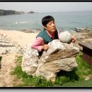 경산압량초등학교 이미지