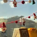 피닉스동물병원 이미지