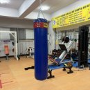 엘마복싱체육관 이미지