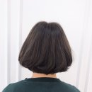 비비드헤어 이미지