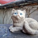 청사초롱민박 이미지