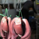 <열두줄에 놀다> 이미지